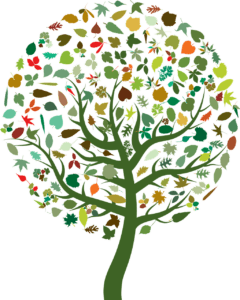 arbre vert écologie